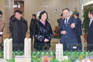 洛陽新區黨工委書記高凌芝視察炎黃科技園